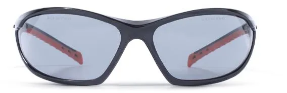 Zekler Z104 Gafas de protección - Gris