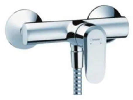 Hansgrohe Ecos grifo de ducha cromado